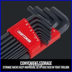 CRAFTSMAN Assorted Metric and standard (SAE) 100 -Pieces Hex key set