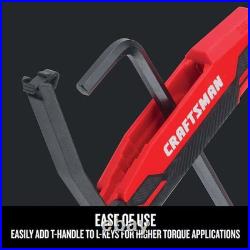 CRAFTSMAN Assorted Metric and standard (SAE) 100 -Pieces Hex key set